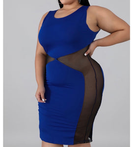 Plus Blue Mesh “Work it” Dress