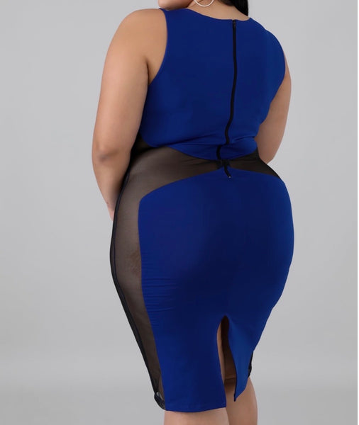 Plus Blue Mesh “Work it” Dress